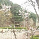 정성주택관리 Daum카페