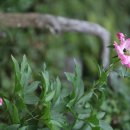 열두개울민박 이미지