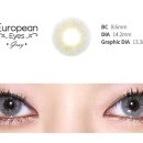 렌즈타운 이미지