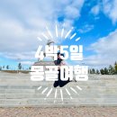 미루stay | 23년 추석 몽골여행 1편 :: 동행 구하기부터 발권까지의 꿀팁