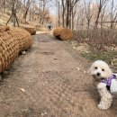 능곡동 근린공원 이미지