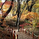 상림농장 이미지