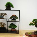 청수5로 이미지