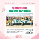 주말마다 열리는 DMZ 마켓 철원 여행 코스로 가 볼 만한 곳
