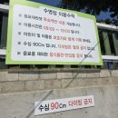 GS25태안미래점 | 충남 태안 여행 : 청포대 썬셋 카라반 후기
