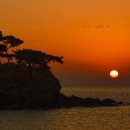 고속버스터미널(센트럴시티) 이미지