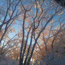 마음의 양식 이미지