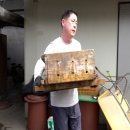 기영식당