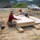 시공-나비 이미지