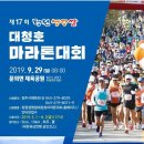 (홍보) 제17회 청원생명쌀 대청호마라톤 대회 이미지