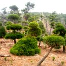 산속의정원 이미지
