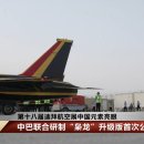 두바이에서 중국 전투기 항공쇼 이미지
