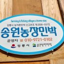 송원농장민박 이미지