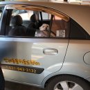 은퇴한 수의사의 저택 이미지