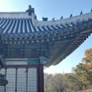 비원도서관 | 🏯 창덕궁·창경궁·후원(비원) 단풍 투어 리뷰 🍁