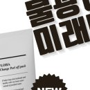 플로하
