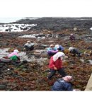 제주시 하도어촌계 이미지