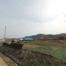 강청리농장 티스토리