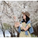 벨라-쥬 이미지