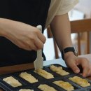 비건숲