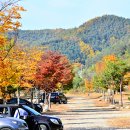 버섯구지마을 이미지