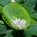 무안비치호텔 이미지