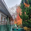 오색단풍작은도서관 이미지