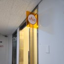 수원 인계동 애견 동반 가능한 셀프스튜디오 Chic studio