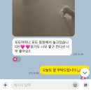 하이랑 애견유치원 | [애견 유치원 추천] 순천 연향동 하이댕스 솔직 후기