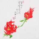 모란