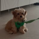 지현펜션 | daily vibes