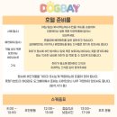 도그베이 미사점 이미지