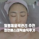 청연에스테틱 네이버블로그