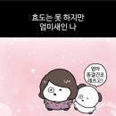 와밀