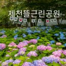 종촌종합복지센터 1층 | 세종 수국은 여기! 제천뜰근린공원 수국절정 가는방법 &amp; 주차팁 완벽정리