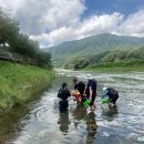 로맨틱533펜션&캠프 이미지