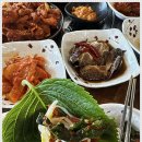 고목정