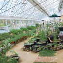 베스트농장 이미지