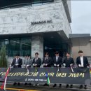 소나무둥지 이미지