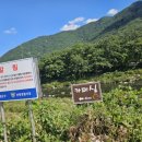 소리당민박 이미지