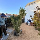 섬에 머물다 이미지