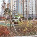 힐캐슬공인중개사사무소 이미지