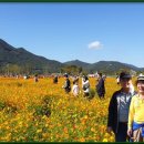 황산공원(황산B) Daum카페