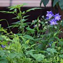 고래실길 이미지