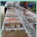 안동체육공원? 이미지