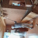 서면 마을회관 이미지