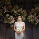 드벨르 - 서구 | 드벨르