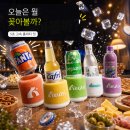 팜앤네이처 | 냉장고 앞 10초 드라마, 늘시 맥주 캔쿨러 체험단 후기