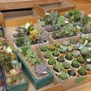 척과농장 이미지