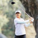 (주)네티즌투어 이미지